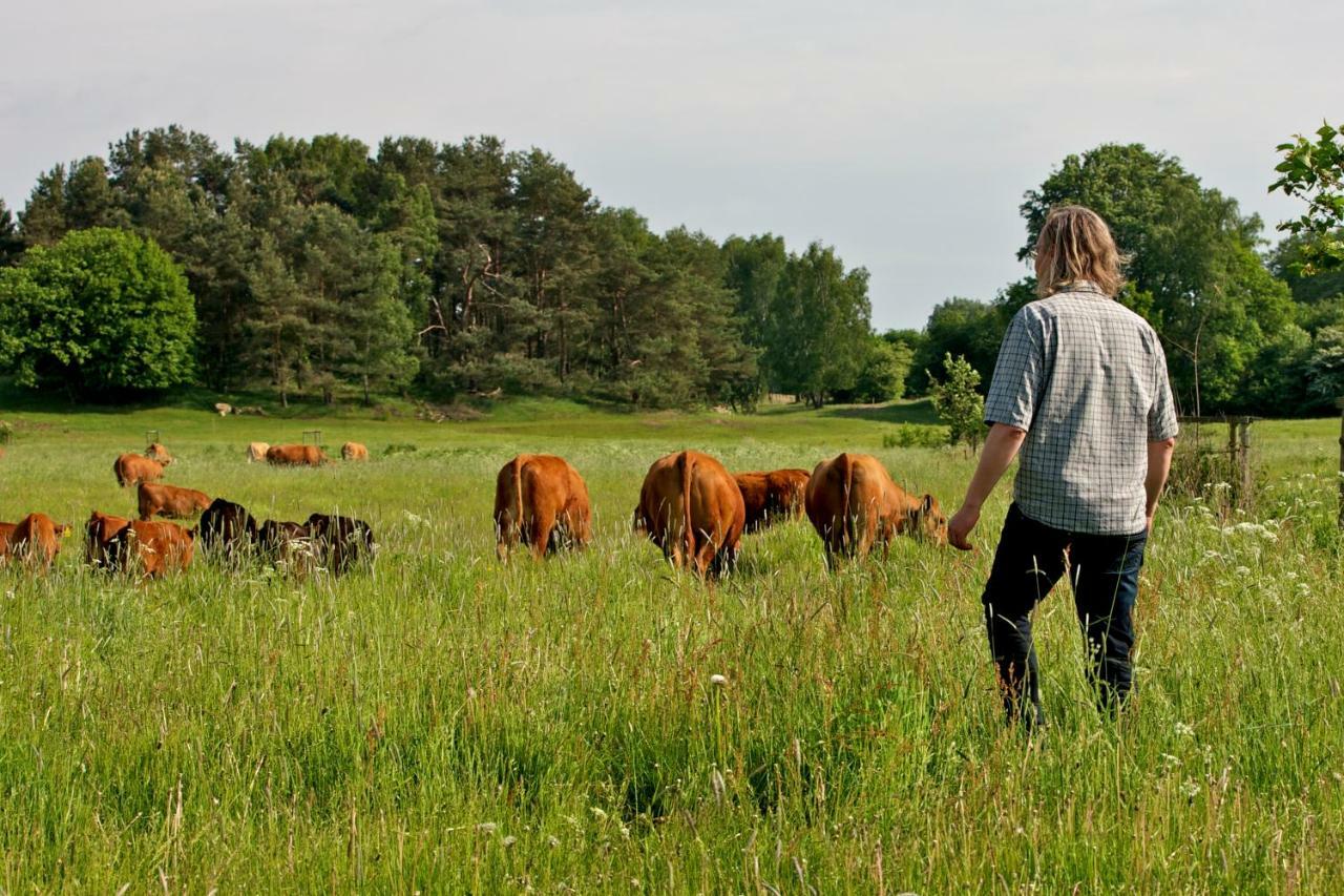 Studio Zempow, Oekologisches Ferienhaus Eksteriør billede